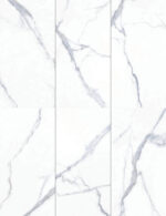 BPCK1265 CATARINA BIANCO 24″x48″