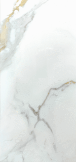 BPCK36066 [12X24] Calacatta Gold