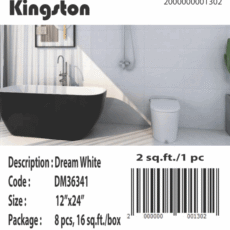 DM36341 [12×24] Dream White