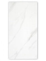 DM36341 [12×24] Dream White