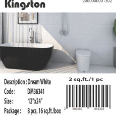 DM36341 [12×24] Dream White