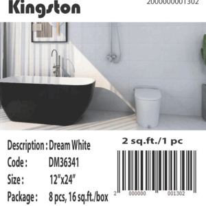 DM36341 [12×24] Dream White