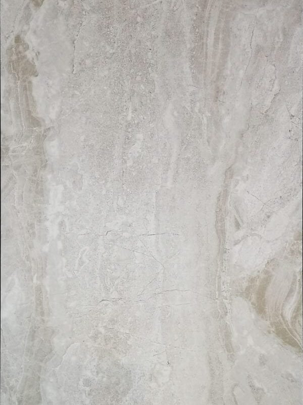 DN36331 [12×24] Dino Light