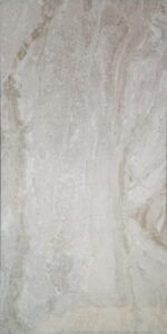 DN36331 [12×24] Dino Light