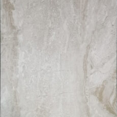 DN36331 [12×24] Dino Light