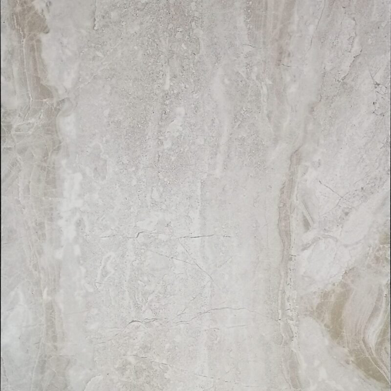 DN36331 [12×24] Dino Light