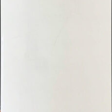 IS3900 ISABELLA CLEAR WHITE [12×36]