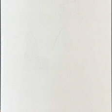 IS3900 ISABELLA CLEAR WHITE [12×36]
