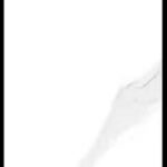 IS3901 ISABELLA SNOW [12×36]