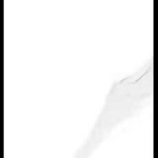 IS3901 ISABELLA SNOW [12×36]