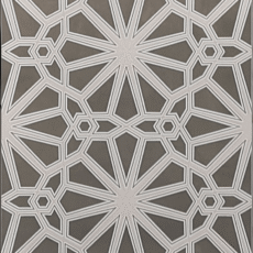 IS3910 Isabella Star [12×36]