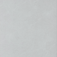 KG126012S [24X48] Kamloops Glory Mist Matt
