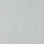 KG126012S [24X48] Kamloops Glory Mist Matt