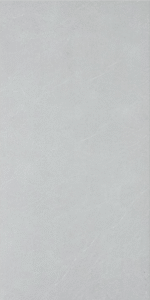 KG36012S [12X24] Kamloops Glory Mist Matt