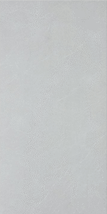KG36012S [12X24] Kamloops Glory Mist Matt