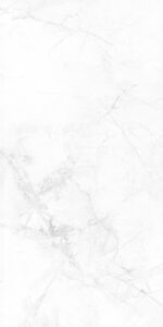 KR6012018 [24X48] Camellia Winter Grey