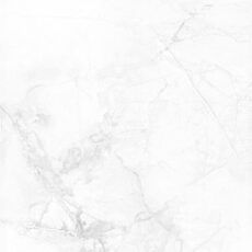 KR6012018 [24X48] Camellia Winter Grey
