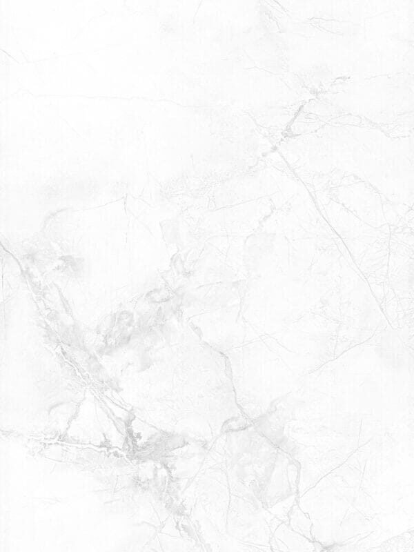 KR6012018 [24X48] Camellia Winter Grey