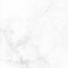 KR6012018 [24X48] Camellia Winter Grey