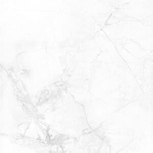 KR6012018 [24X48] Camellia Winter Grey