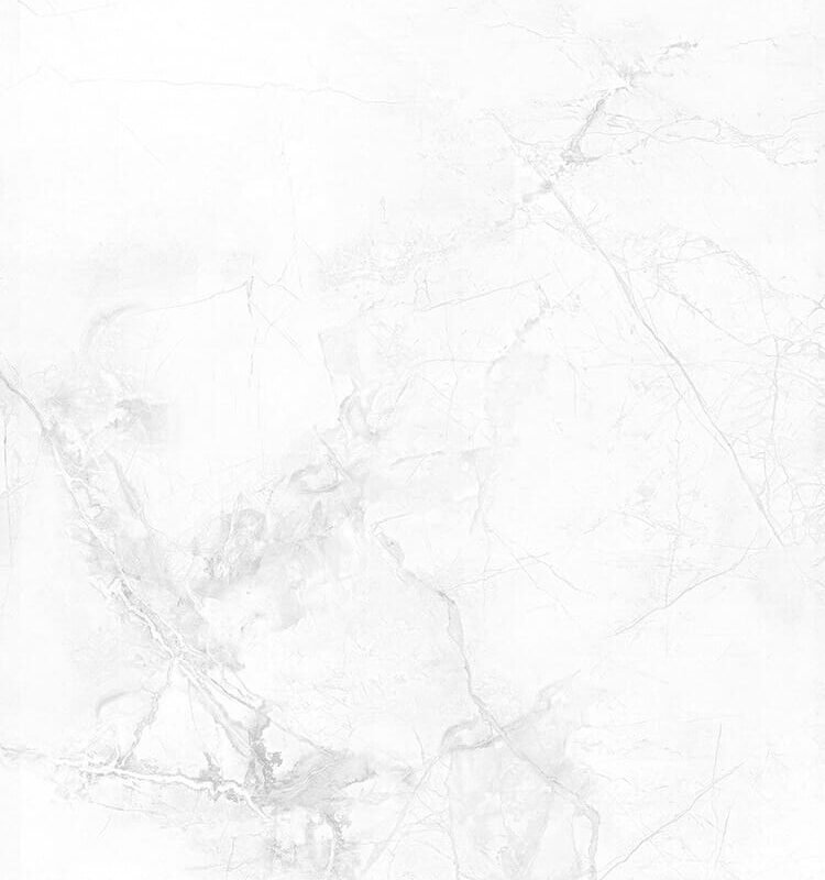 KR6012018 [24X48] Camellia Winter Grey