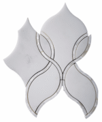 MG912 – CARNATION SHELL