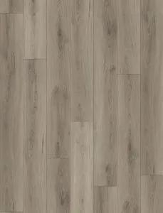 Nadine Vanntett Plus By Canadian Standard — 22FLOORING