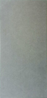 NY612007 Moss Rock 24×48 Matt
