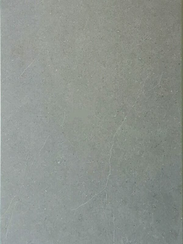 NY612007 Moss Rock 24×48 Matt