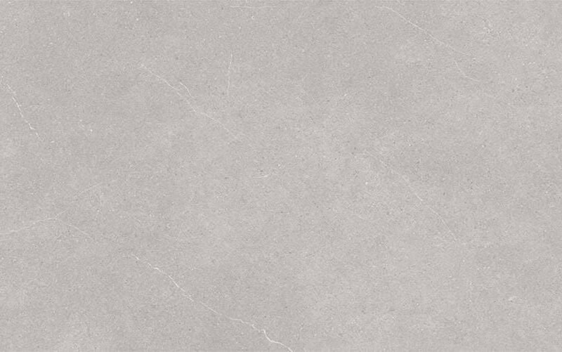 NY612173 MOSS GREY 24X48 matt