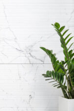 QP8320LMB(PY12648L) Emotive Astonished white Textured Matt 24″x48″