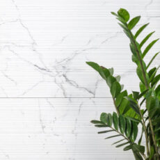 QP8320LMB(PY12648L) Emotive Astonished white Textured Matt 24″x48″