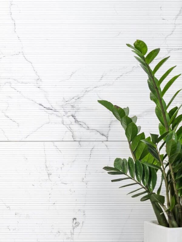 QP8320LMB(PY12648L) Emotive Astonished white Textured Matt 24″x48″