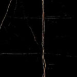SDX12813P COUNTRY BLACK 24″x48″