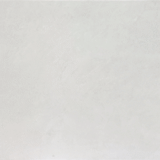 TE12602 CAMILIA cloude 24×48 matt