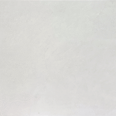 TE12602 CAMILIA cloude 24×48 matt