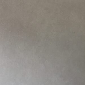 TE12605 CAMELIA SAND 24×48 matt