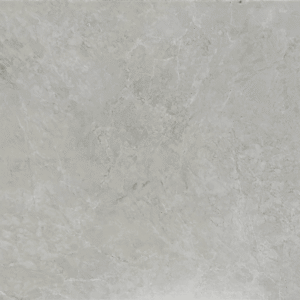 TE12606 CAMILIA Smoke Grey 24×48 matt