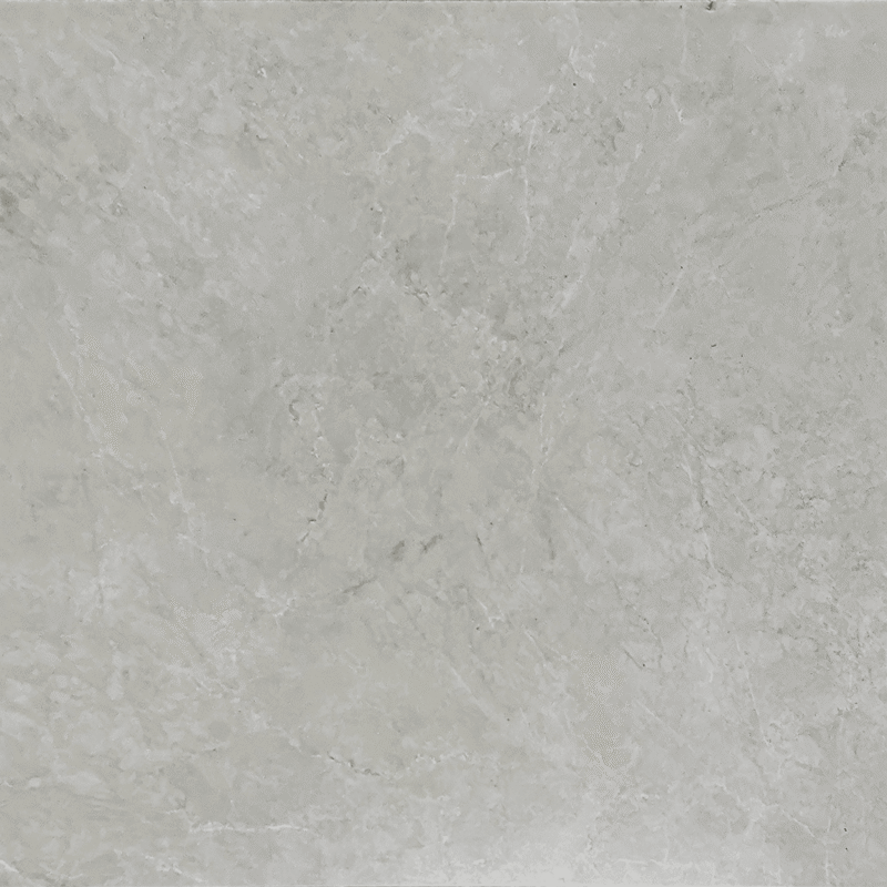 TE12606 CAMILIA Smoke Grey 24×48 matt
