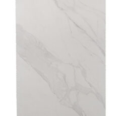TE12611 [24X48] Camelia Snow Matt