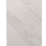 TE12611 [24X48] Camelia Snow Matt