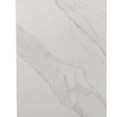 TE12611 [24X48] Camelia Snow Matt