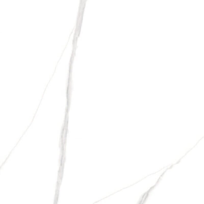 TE12690P Iceberg White Lappato [24×48]