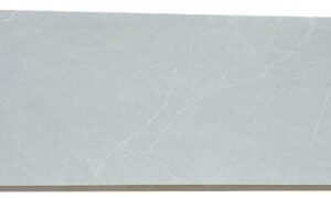 TE36622R [12×24] Camelia Silver (matt)