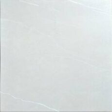 TE36622R [12×24] Camelia Silver (matt)