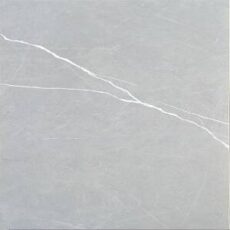 TE36627R [12×24] Camelia Gris (matt)