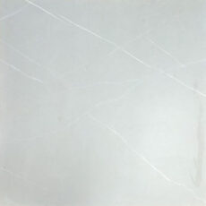 TE65622R [24×24] Camelia Silver (matt)