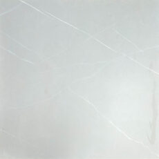 TE65622R [24×24] Camelia Silver (matt)