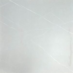 TE65622R [24×24] Camelia Silver (matt)