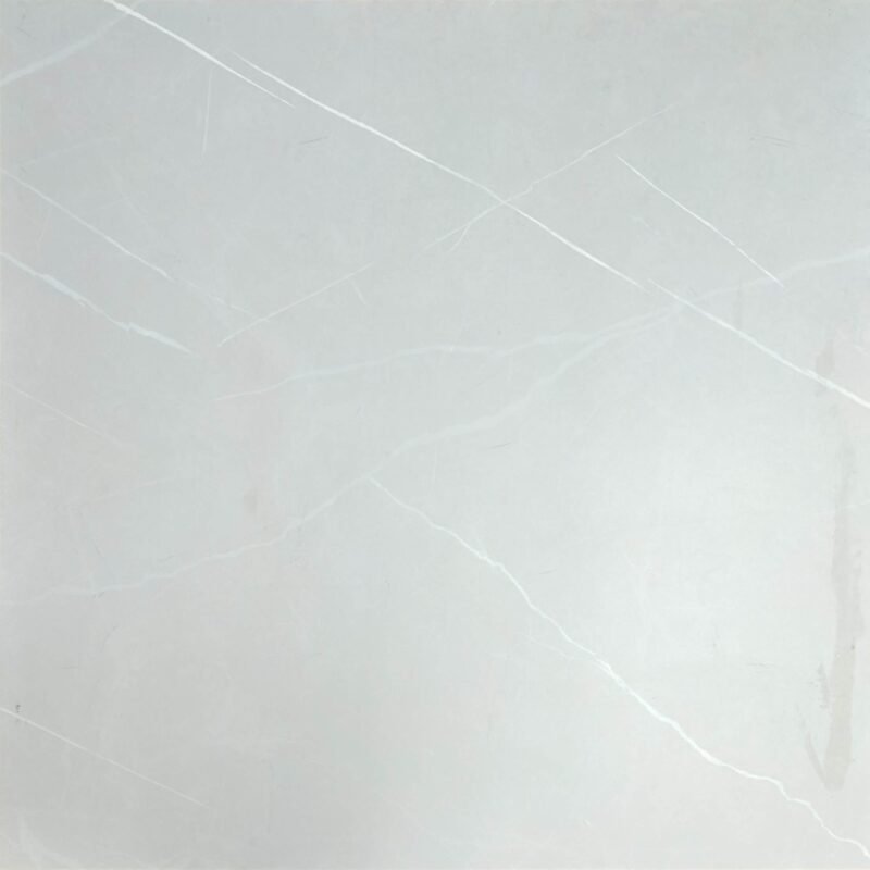 TE65622R [24×24] Camelia Silver (matt)